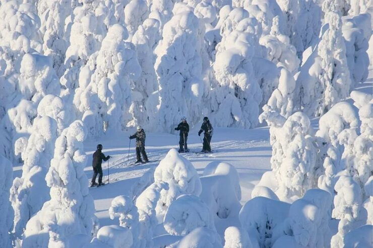 Rovaniemi: Cross Country Wilderness Ski Adventure - Activity Details and Inclusions
