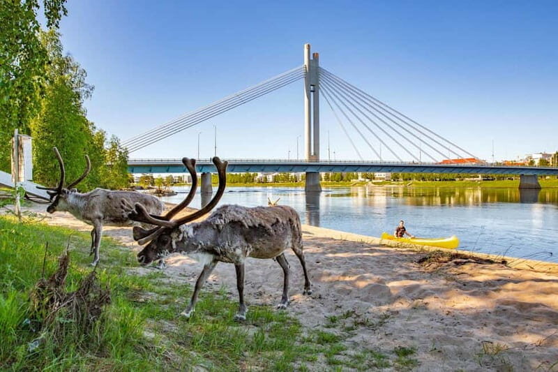 Rovaniemi: Cultural Canoe Trip - An Overview of the Canoe Trip Experience
