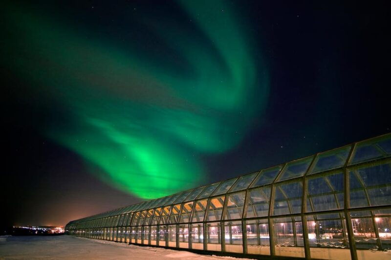 Rovaniemi: Culture Pass to Arktikum, Korundi, and Pilke - Exploring Rovaniemi’s Cultural Gems with the Culture Pass