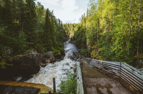 Rovaniemi: Day Tour to Laplands Top Attractions - What to Bring on the Tour