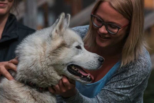 Rovaniemi: Day Trip to Reindeer Farm and Santa Claus Village - Exploring Rovaniemi Beyond