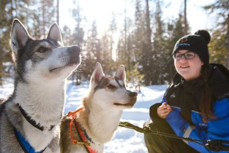 Rovaniemi: Daytime Husky Safari - Good To Know