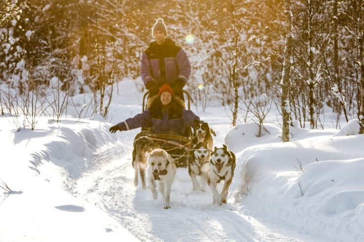 Rovaniemi: Daytime Husky Safari - Unique Experience Highlights