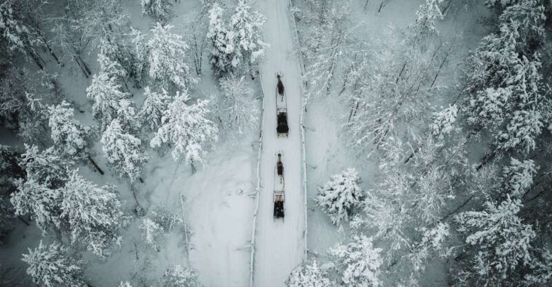 Rovaniemi: Daytime Reindeer Sleigh Ride - Rovaniemi: Daytime Reindeer Sleigh Ride – A Cozy Arctic Adventure