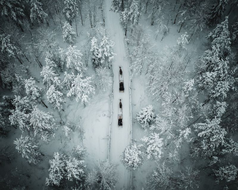 Rovaniemi: Daytime Reindeer Sleigh Ride - Authenticity and Considerations