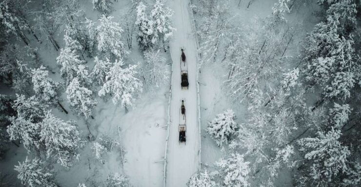 Rovaniemi: Daytime Reindeer Sleigh Ride With Hotel Pickup - Booking Details