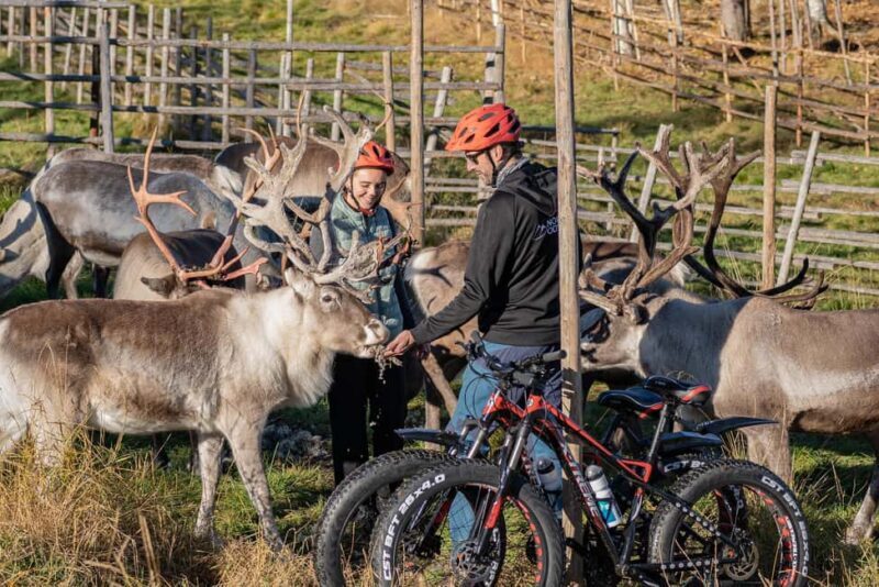 Rovaniemi: E-fatbike Trip to the Reindeer Farm - An In-Depth Look at the E-fatbike Reindeer Farm Tour