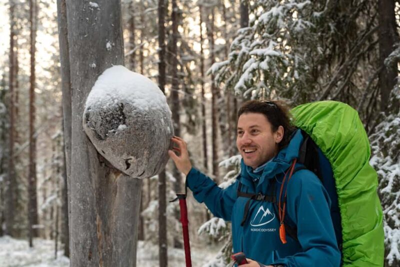 Rovaniemi: Early Snow Hiking Adventure with Snacks - The Itinerary: What to Expect from the Tour