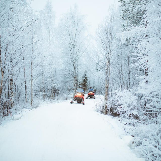 Rovaniemi: Early Winter 2 Hour Snowmobile Safari - Who will love this tour?