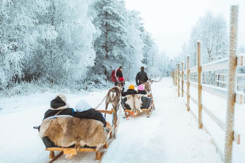 Rovaniemi: Early Winter Reindeer Sleigh Ride 1-2 km - Good To Know