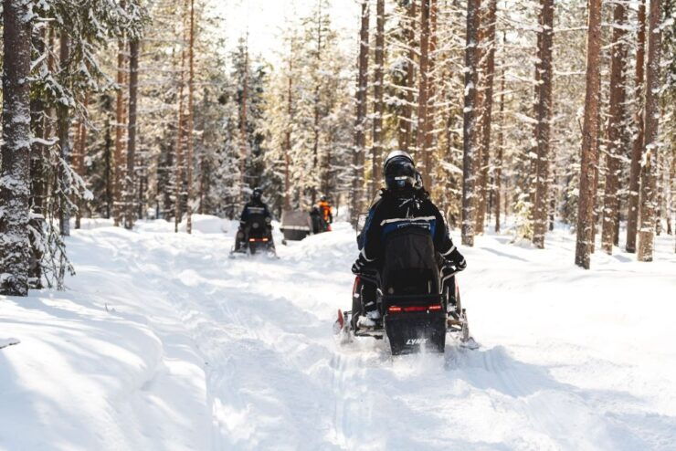 Rovaniemi: Easy Snowmobile Safari - Activity Details and Highlights