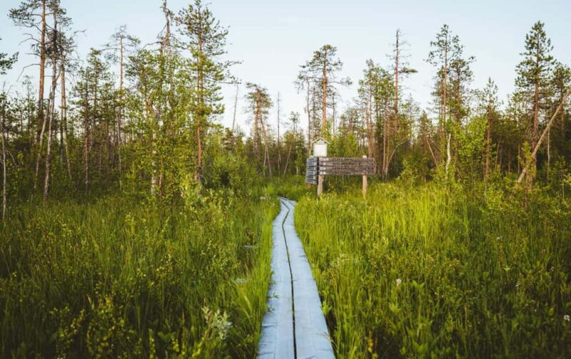 Rovaniemi: Electric Fatbike Rental with Helmet - Introduction