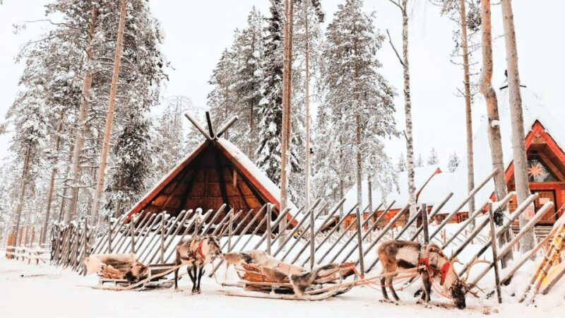 Rovaniemi: excursion to Santa Clause Holliday Village - Free Time and Shopping