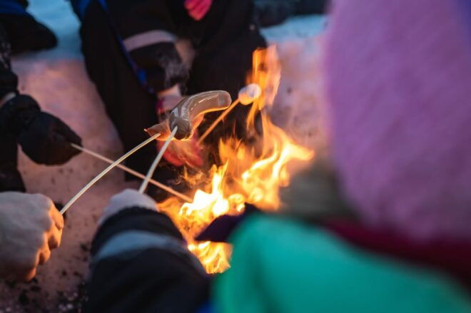 Rovaniemi: Family Snowmobile Trip With Guide and Picnic - Participant Feedback