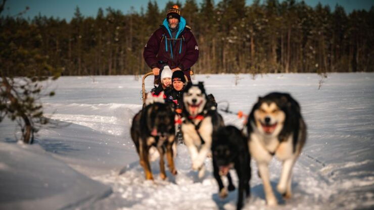 Rovaniemi: Feel the Speed of Huskies - Discover the Beauty of Rovaniemi