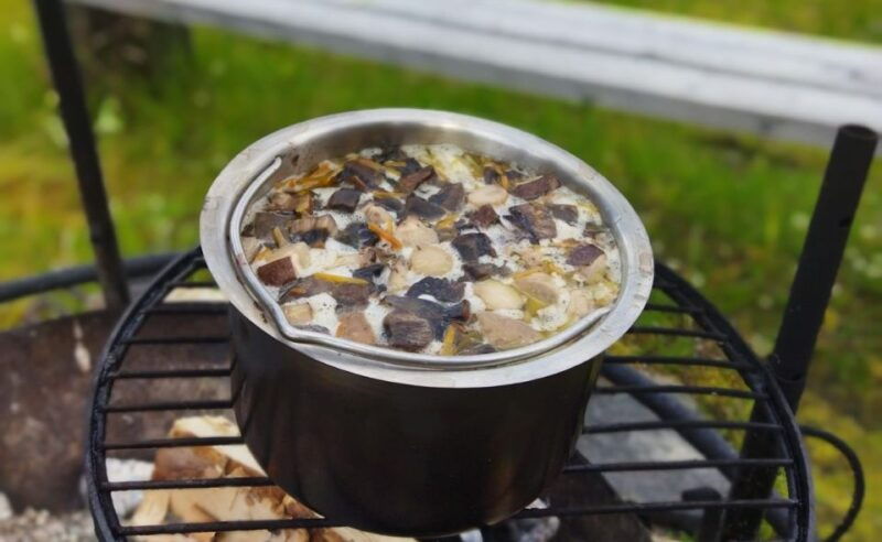 Rovaniemi forest foraging adventure: Pick, Prepare, Savor - The Sum Up