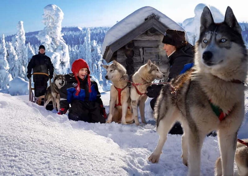 Rovaniemi: Full-Day Highlights Tour with Buffet Lunch - FAQs