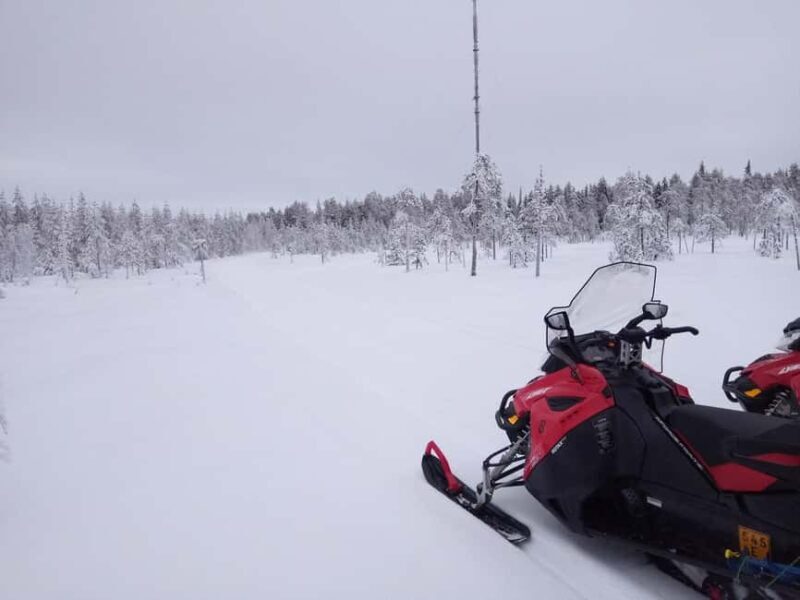 Rovaniemi: Full-Day Snowmobile Adventure - Good To Know