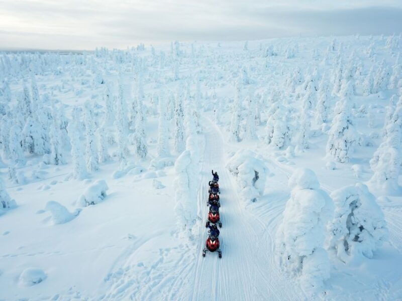 Rovaniemi: Full Day Snowmobile Safari into the Wilderness - Exploring the Itinerary and Experience