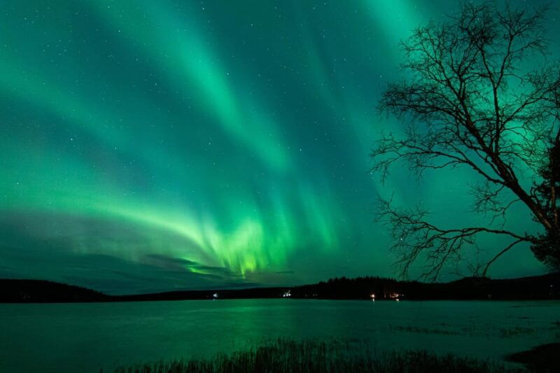 Rovaniemi: Guaranteed Aurora Hunting Tour with Local Guide - What to Expect During the Tour