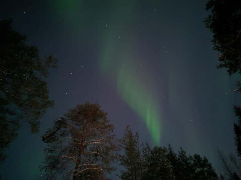 Rovaniemi: Guaranteed Northern Lights Magic Adventure - Good To Know