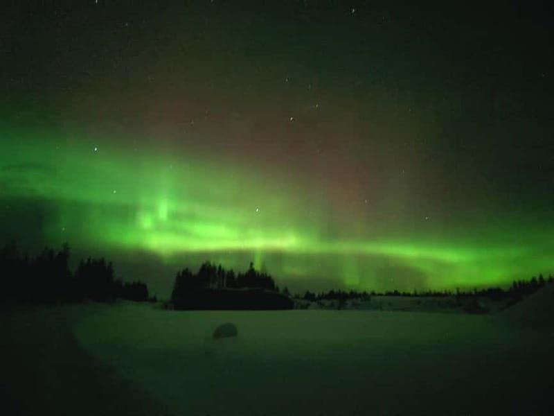 Rovaniemi: Guaranteed Northern Lights Magic Adventure - Why This Tour Offers Great Value
