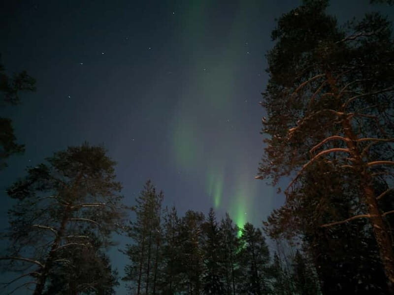 Rovaniemi: Guaranteed Northern Lights Magic Adventure - The Sum Up