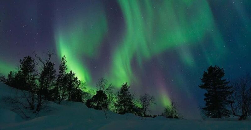 Rovaniemi: Guaranteed Northern Lights Tour - Who Should Consider This Tour?