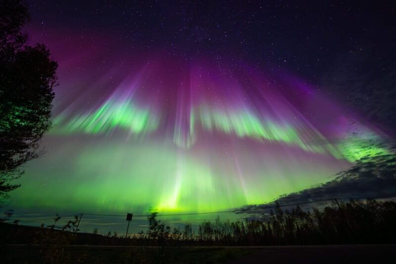 Rovaniemi: Guaranteed Ultimate Aurora Hunt with Photographer - Authentic Experiences and Real Traveler Insights