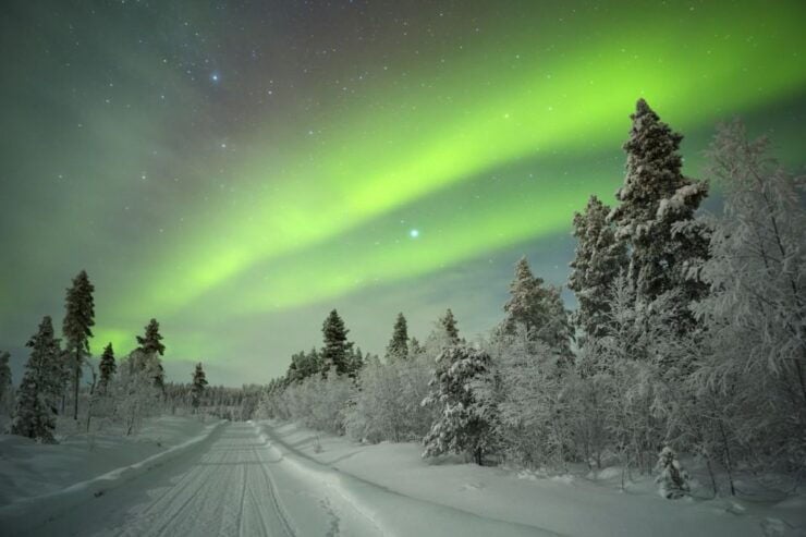 Rovaniemi: Guided Northern Lights Tour by Van - Experience Highlights