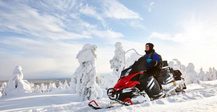 Rovaniemi: Guided Wilderness Snowmobile Ride - Booking Details