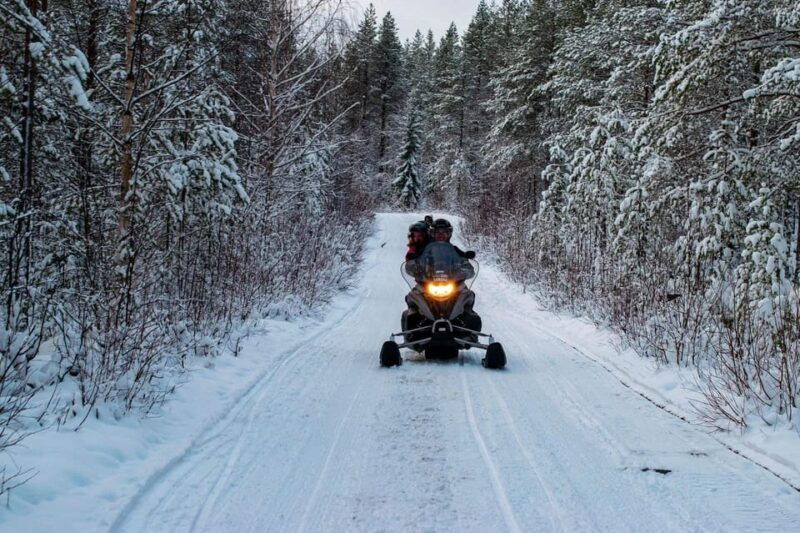 Rovaniemi: Guided Wilderness Snowmobile Safari & Barbeque - Good To Know