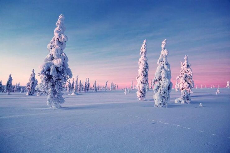 Rovaniemi: Half-Day Snowmobile & Ice Fishing Experience - Booking Details