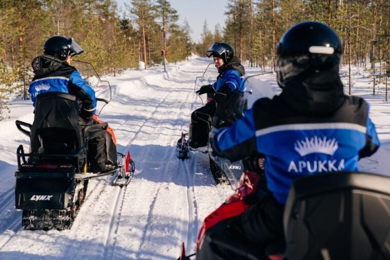 Rovaniemi: Half-Day Snowmobile Tour - Authentic Experiences and What Travelers Say