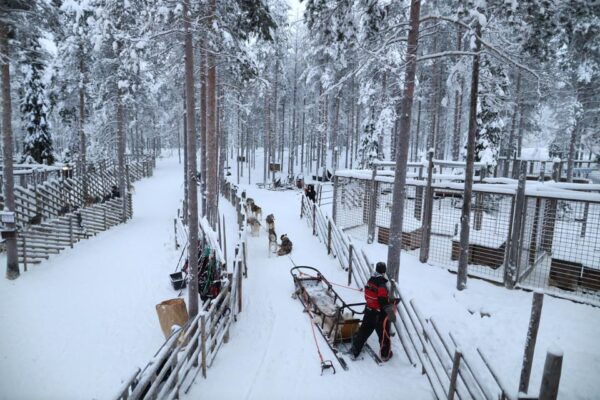Rovaniemi Highlight Husky, Reindeers Sledge Ride Santa Claus - Meeting Santa Claus