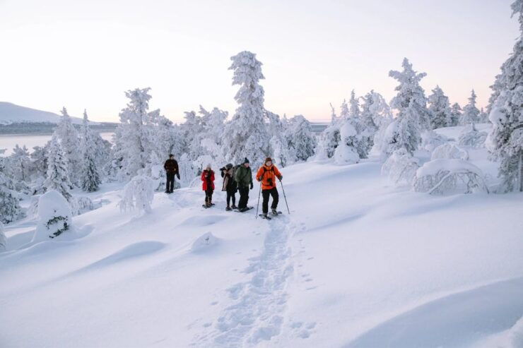 Rovaniemi: Hiking and Snowshoeing Adventure in Lapland - Experience Highlights