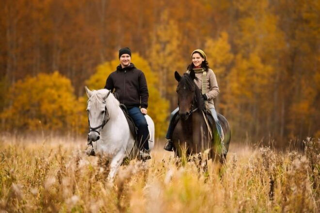 Rovaniemi: Horse Riding in Arctic Wilderness - Horseback Riding Experience