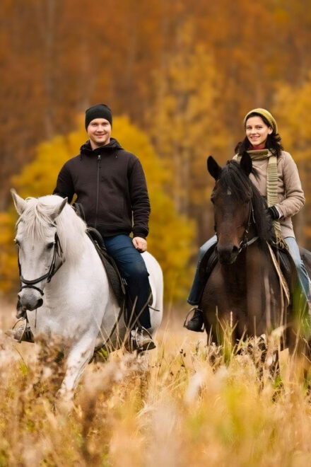 Rovaniemi: Horse Riding in Arctic Wilderness - Scenic Trails and Landscapes