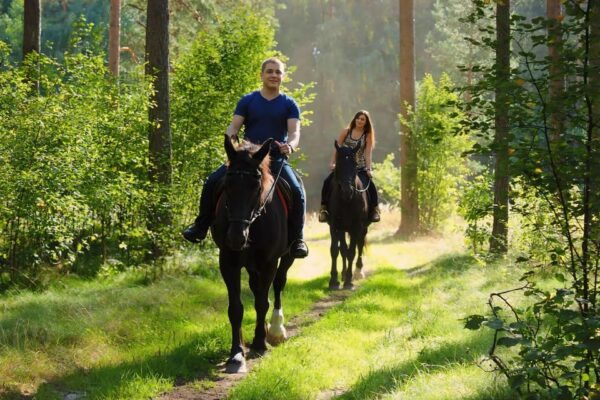 Rovaniemi: Horse Riding in Arctic Wilderness - Guidelines and Restrictions