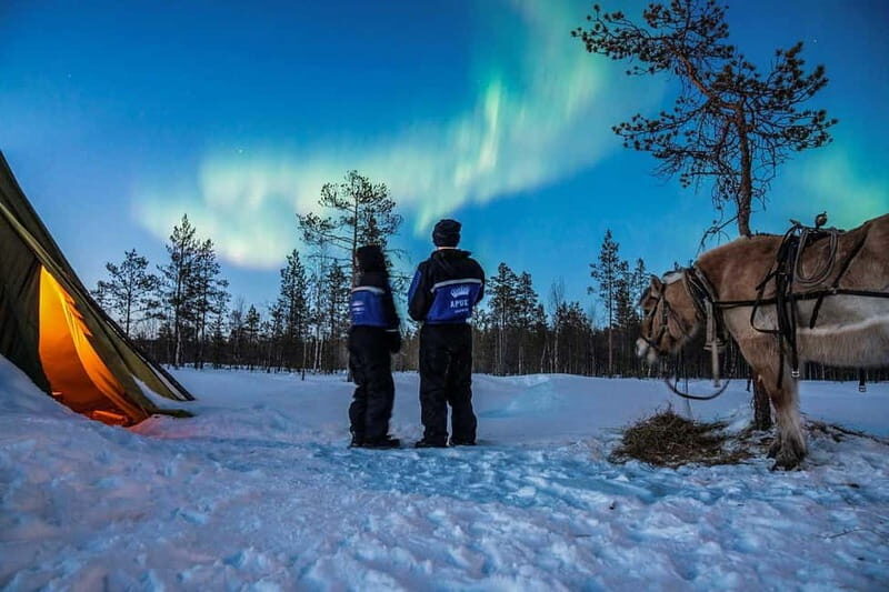Rovaniemi: Horse Sleigh Ride under the Night Sky - What’s Included and Why It Matters