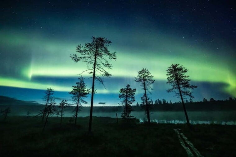 Rovaniemi: Horse Sleigh Ride under the Night Sky - Who Should Consider This Tour?