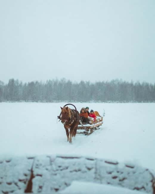 Rovaniemi: Horse Sleigh Ride under the Night Sky - FAQ