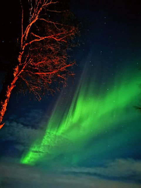 Rovaniemi Hunting Aurora at the Best Spots - Things to Consider