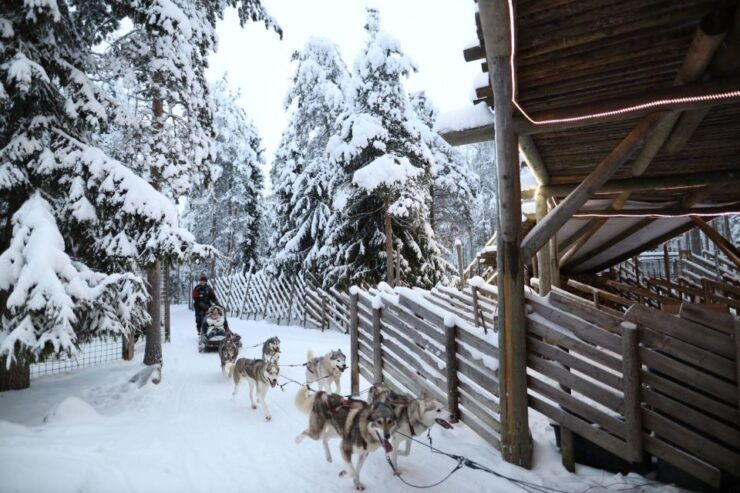 Rovaniemi: Husky and Reindeer Farm Visit With Sleigh Rides - Booking Details