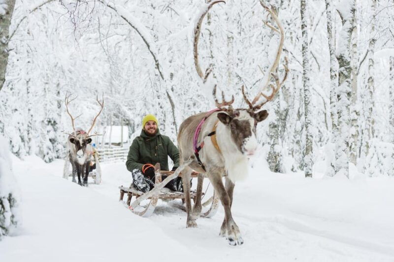 Rovaniemi: Husky and Reindeer farm with sleigh ride - Good To Know