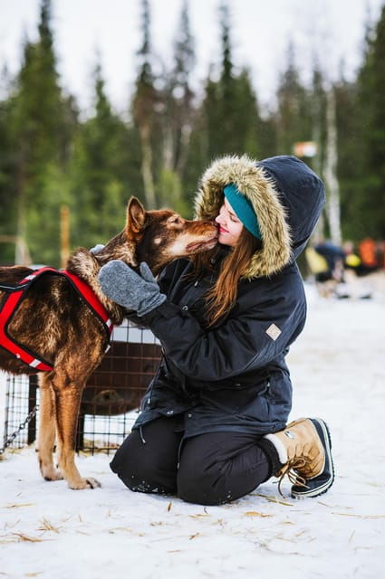Rovaniemi: Husky and Reindeer farm with sleigh ride - Who Should Consider This Tour?