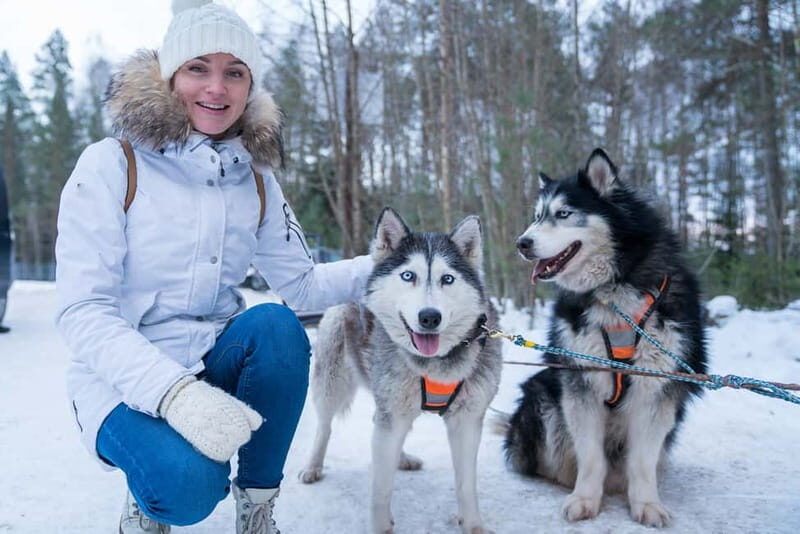 Rovaniemi: Husky Farm and Reindeer Experience - An In-Depth Look at the Rovaniemi Husky and Reindeer Tour
