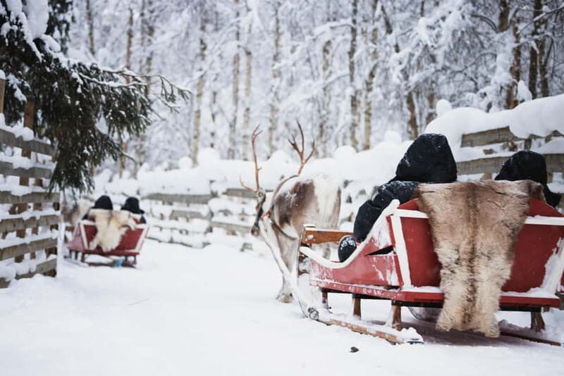Rovaniemi: Husky Farm and Reindeer Experience - The Sum Up