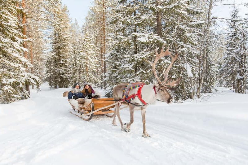 Rovaniemi: Husky Farm and Reindeer Experience - FAQ