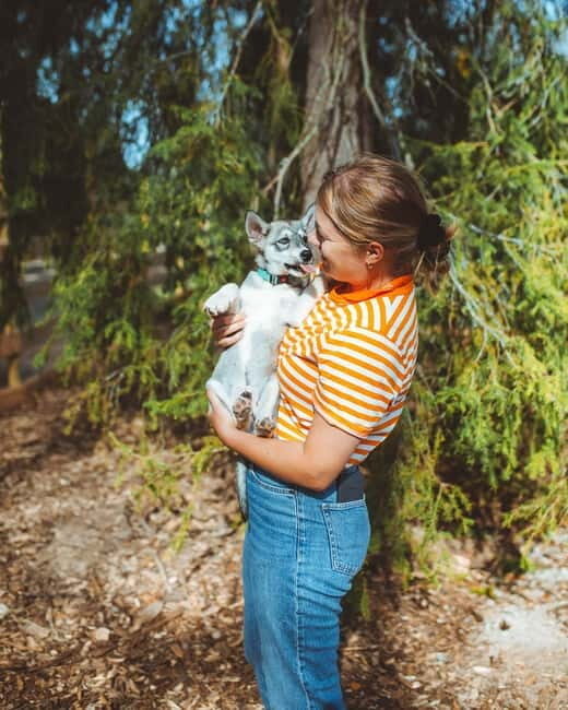 Rovaniemi: Husky Farm Visit - The Details That Make This Tour Worthwhile